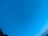 20240804045754-G0043479.JPG
