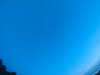 20240804050246-G0043553.JPG