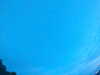 20240804052826-G0043960.JPG