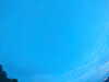 20240804052925-G0043977.JPG