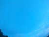 20240804052936-G0043980.JPG