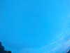20240804052939-G0043981.JPG