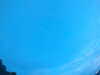 20240804053010-G0043990.JPG
