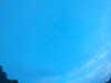 20240804053059-G0044004.JPG
