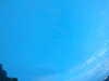 20240804053126-G0044012.JPG