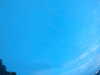 20240804053133-G0044014.JPG