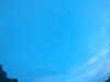 20240804053139-G0044016.JPG