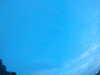 20240804053146-G0044018.JPG