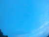 20240804053149-G0044019.JPG