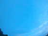 20240804053153-G0044020.JPG