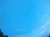 20240804053200-G0044022.JPG