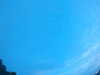 20240804053206-G0044024.JPG