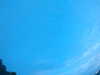 20240804053210-G0044025.JPG