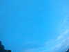 20240804053216-G0044027.JPG
