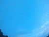 20240804053220-G0044028.JPG