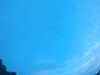 20240804053227-G0044030.JPG