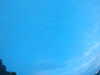20240804053230-G0044031.JPG