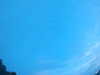 20240804053237-G0044033.JPG