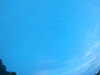 20240804053240-G0044034.JPG