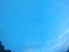 20240804053247-G0044036.JPG