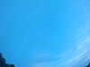 20240804053250-G0044037.JPG