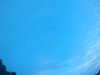 20240804053257-G0044039.JPG