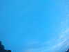 20240804053300-G0044040.JPG