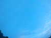 20240804053307-G0044042.JPG
