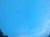 20240804053313-G0044044.JPG
