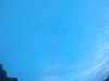 20240804053317-G0044045.JPG