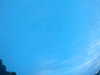20240804053320-G0044046.JPG