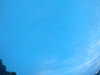 20240804053323-G0044047.JPG