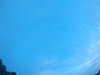20240804053327-G0044048.JPG