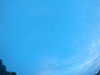 20240804053343-G0044053.JPG