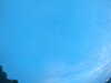 20240804053357-G0044057.JPG