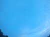 20240804053400-G0044058.JPG