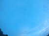 20240804053403-G0044059.JPG