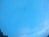 20240804053407-G0044060.JPG
