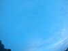 20240804053410-G0044061.JPG