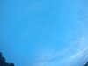 20240804053413-G0044062.JPG