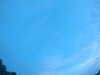 20240804053430-G0044067.JPG