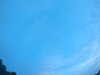 20240804053433-G0044068.JPG