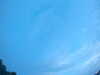 20240804053556-G0044093.JPG