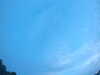 20240804053612-G0044098.JPG