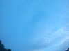 20240804053708-G0044115.JPG