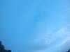 20240804053711-G0044116.JPG