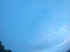 20240804053756-G0044130.JPG