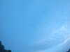 20240804053819-G0044137.JPG
