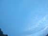 20240804053901-G0044150.JPG