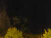 20240929204658-G0014847.JPG